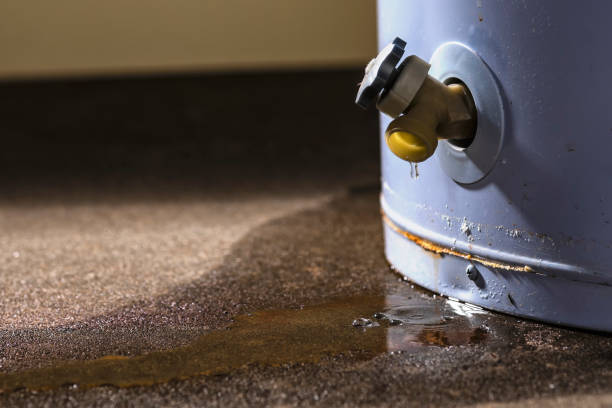 Best Sewage cleanup and water damage restoration  in Cactus, TX